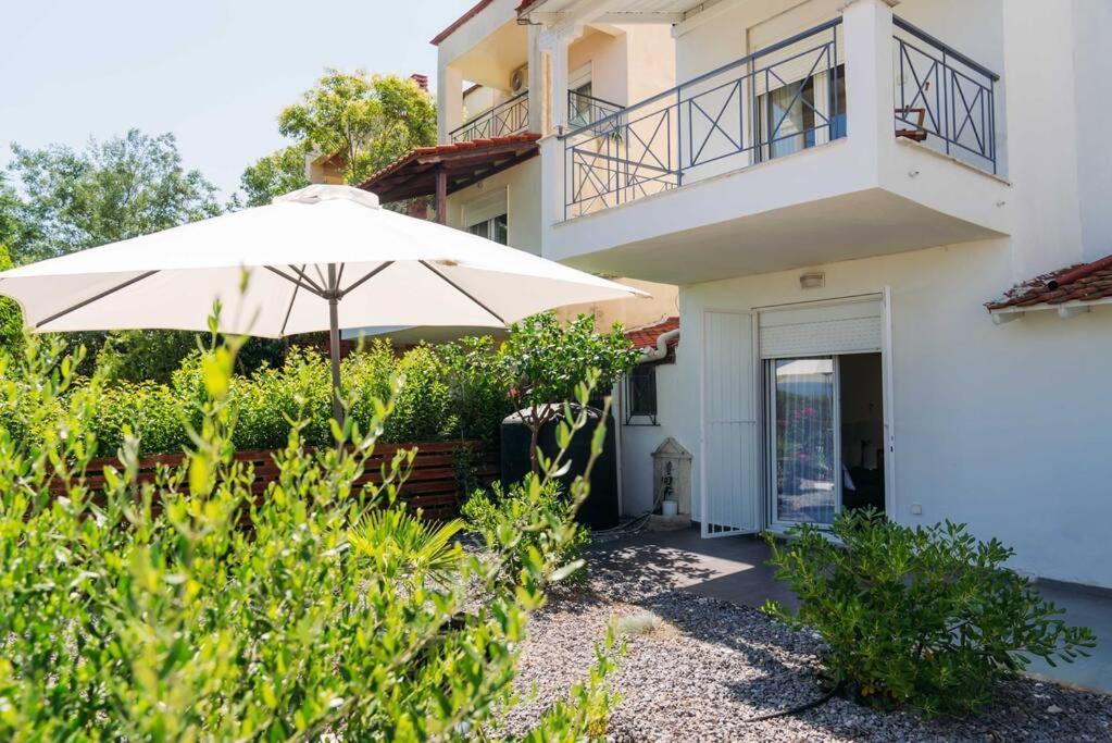 Villa Olion Афитос Экстерьер фото